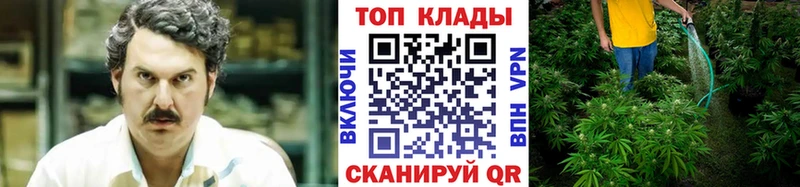 Где можно купить наркотики Дагестанские Огни МАРИХУАНА  ГАШИШ 