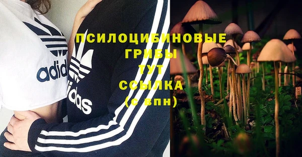 mix Бородино