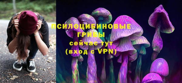 spice Бронницы