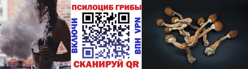 Галлюциногенные грибы мухоморы  где продают   Дагестанские Огни 