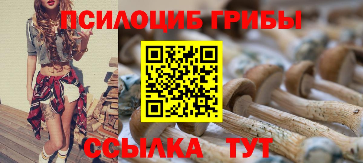 Псилоцибиновые грибы мицелий Дагестанские Огни